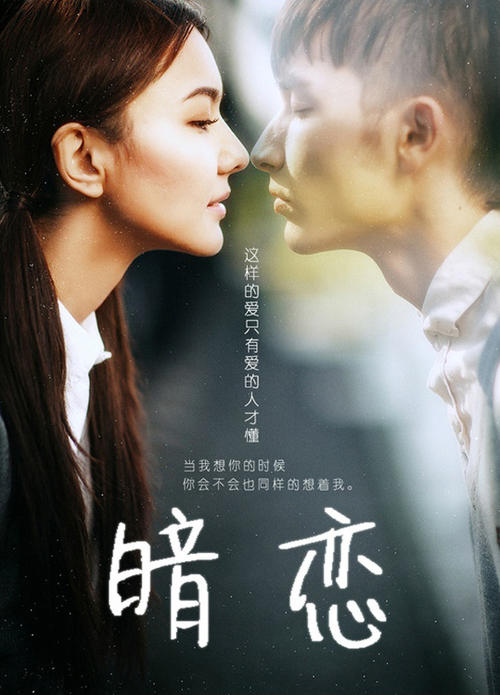 cisa中英文证书有区别吗