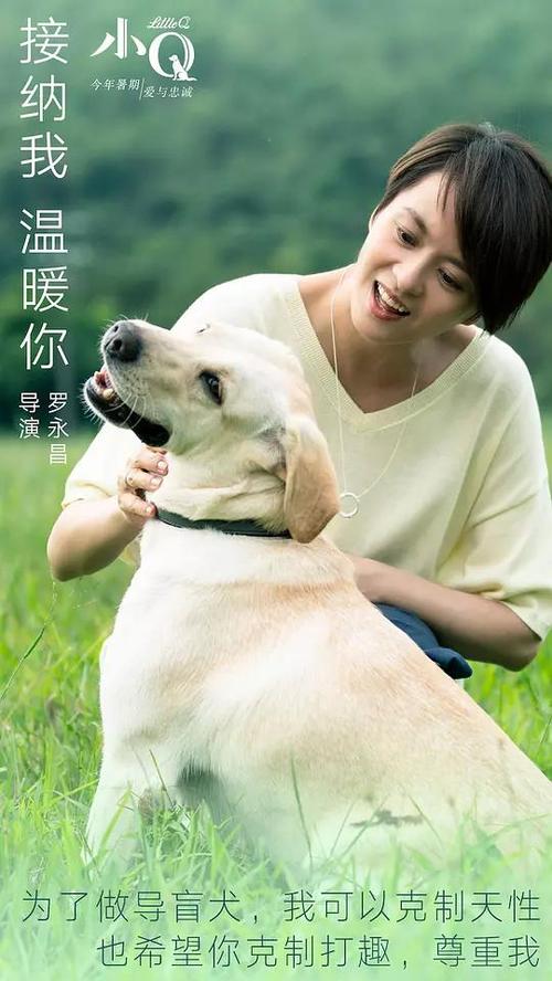 BRP卡怎么买假的